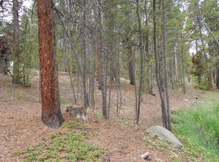 94 Shadow Valley Dr, Leadville, CO 80461