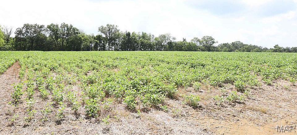 1st image of Off Pcr 914 Lot 16