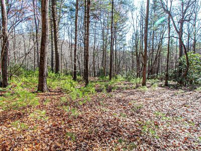 Cherrywood Lane B, Pisgah Forest, NC, 28768