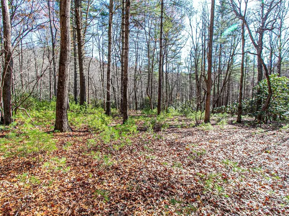Cherrywood Lane B, Pisgah Forest, NC 28768