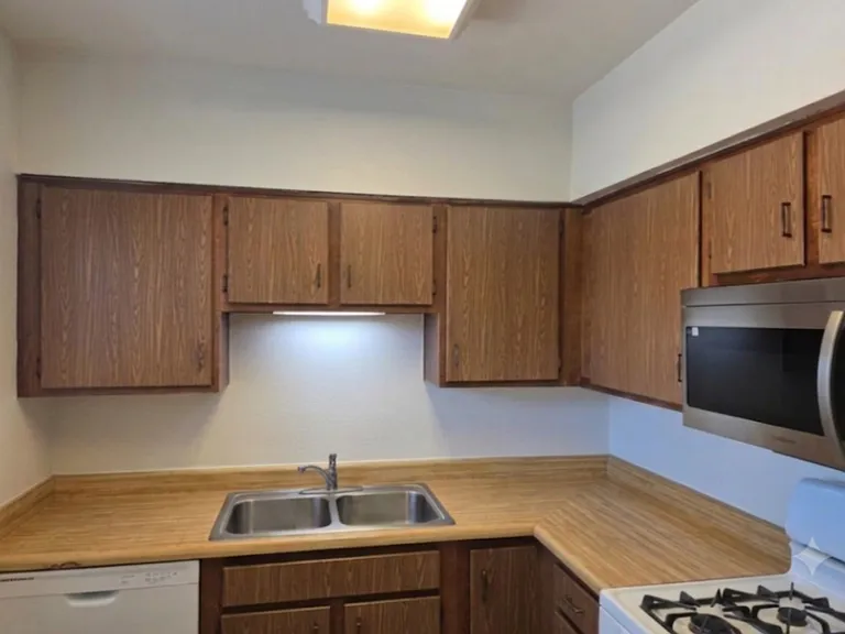 3311 S Placita Saltillo — Photo 12
