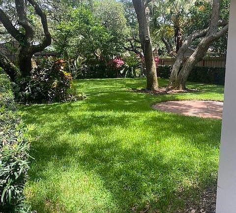 Backyard - lots of shade created by oak trees