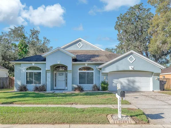 3729 Hollow Wood Dr, Valrico, FL 33596
