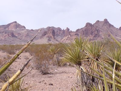 LOT 8 S Hopi Rd, Golden Valley, AZ, 86413