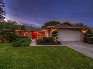 906 Terra Mar Dr, Tampa, FL 33613