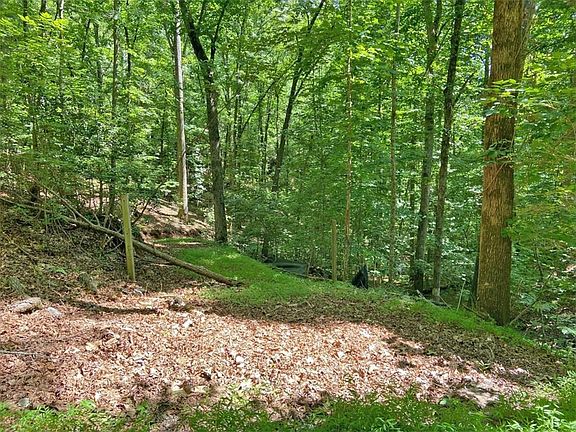 3rd image of 24AC Old River Rd