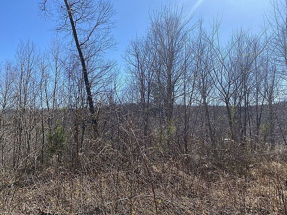 2nd image of 1092 Duck Run Rd