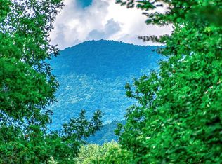 13 Shady Pine Trl, Ellijay, GA 30540