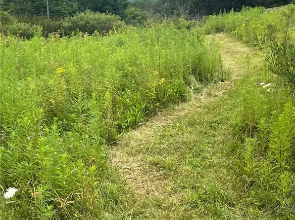 State Highway 28 Lot 12, Delhi, NY 13753