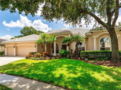 9117 Woodridge Run Dr, Tampa, FL, 33647