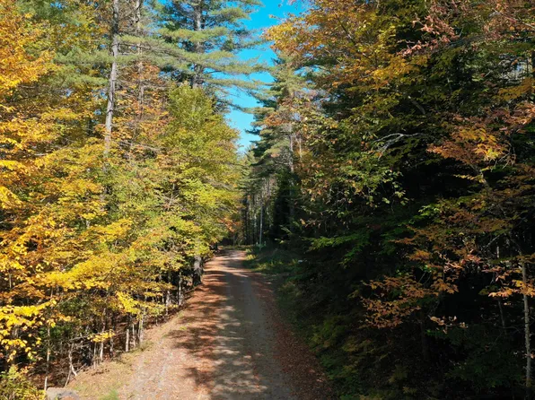 173 Cleveland Road, Johnsburg, NY 12843