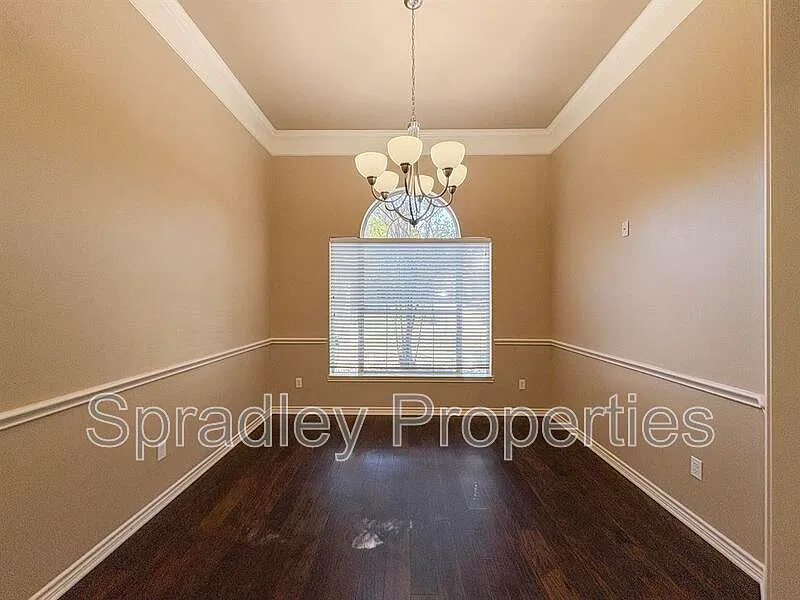 Saddle Creek — Photo 4