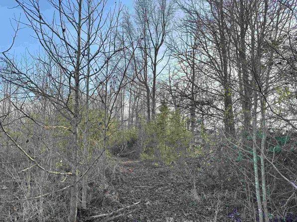 County Road 4740, Mount Pleasant, TX 75455