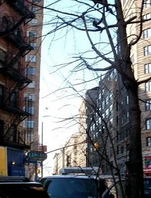 Rented by Prince Real Estate Associates LLC | media 27