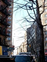 Rented by Prince Real Estate Associates LLC