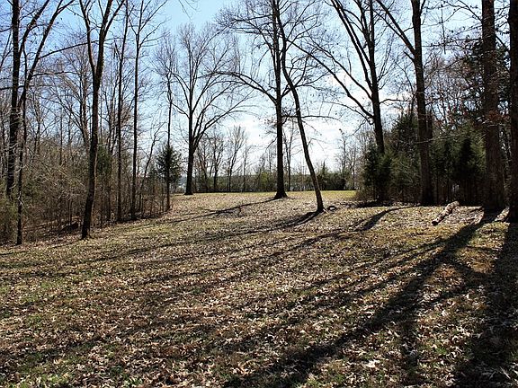5th image of 572 Eagle Shore Dr Lot 4