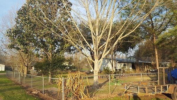 1st image of 753 Myrtle Dr
