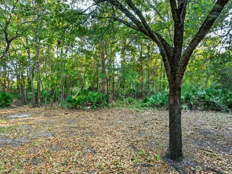 11816 Lake Bend Cir — Photo 35
