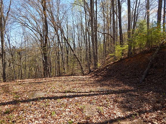 4th image of 1-3&2 Burnt Leaf Ln #3