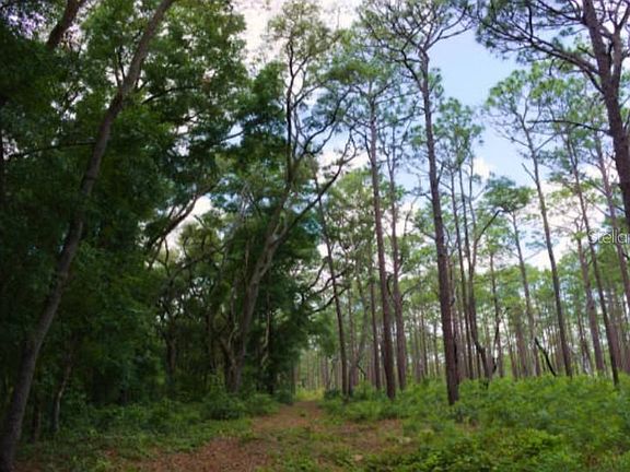 5th image of 14263 NE 252nd Court Rd #114