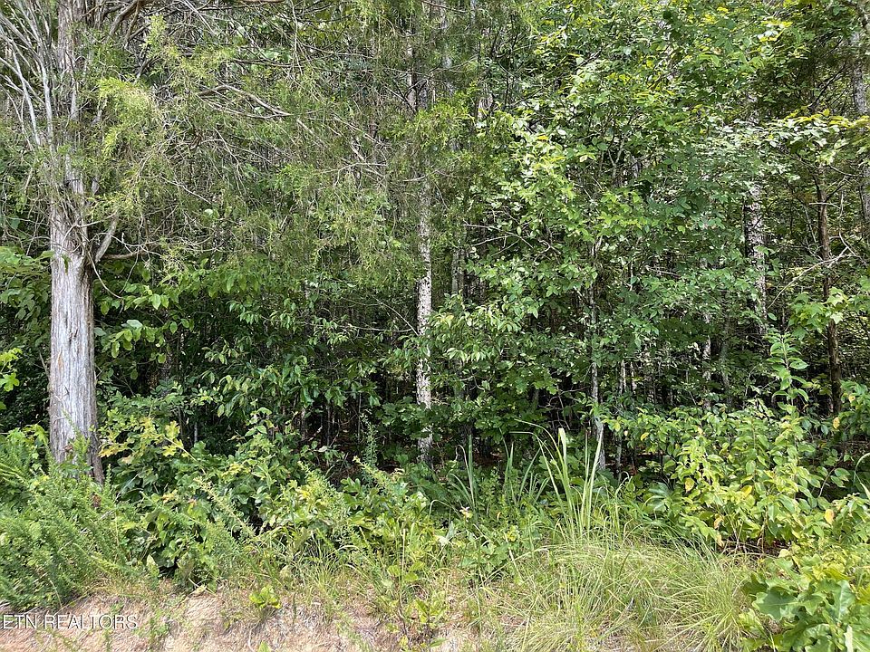 2nd image of County Road 285