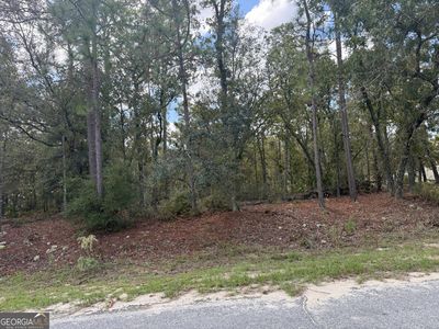 LOT 51 Ridge Loop, Blackshear, GA, 31516
