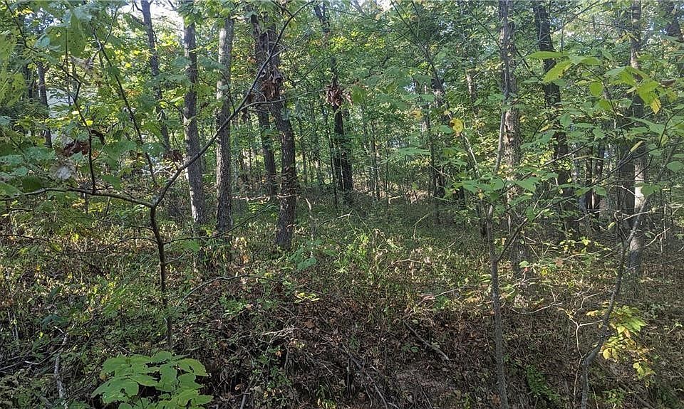 2nd image of Pamela Ln #11