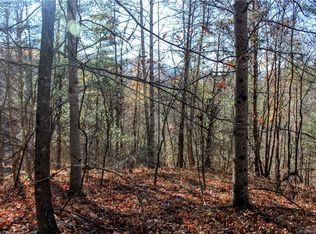 0 Upper Paw Paw Rd, Marshall, NC 28753