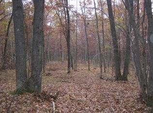 N Irons Rd, Irons, MI 49644