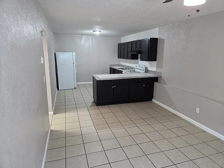 Living Room and Kitchen
