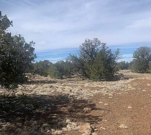 4th image of 782 E Little Horse Rd