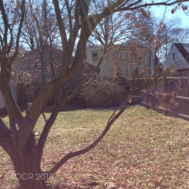 2nd image of 294 W Forest Ave