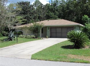 47 Birchtree St, Homosassa, FL 34446