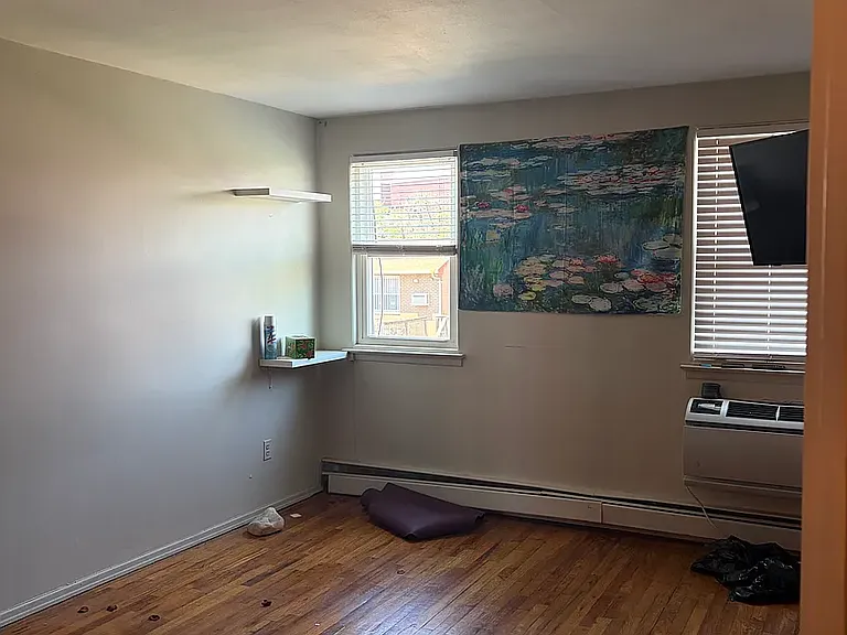 208 Bay 44th St #2 — Photo 10