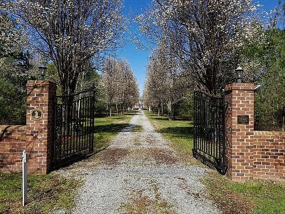 Come on Down the Lane!