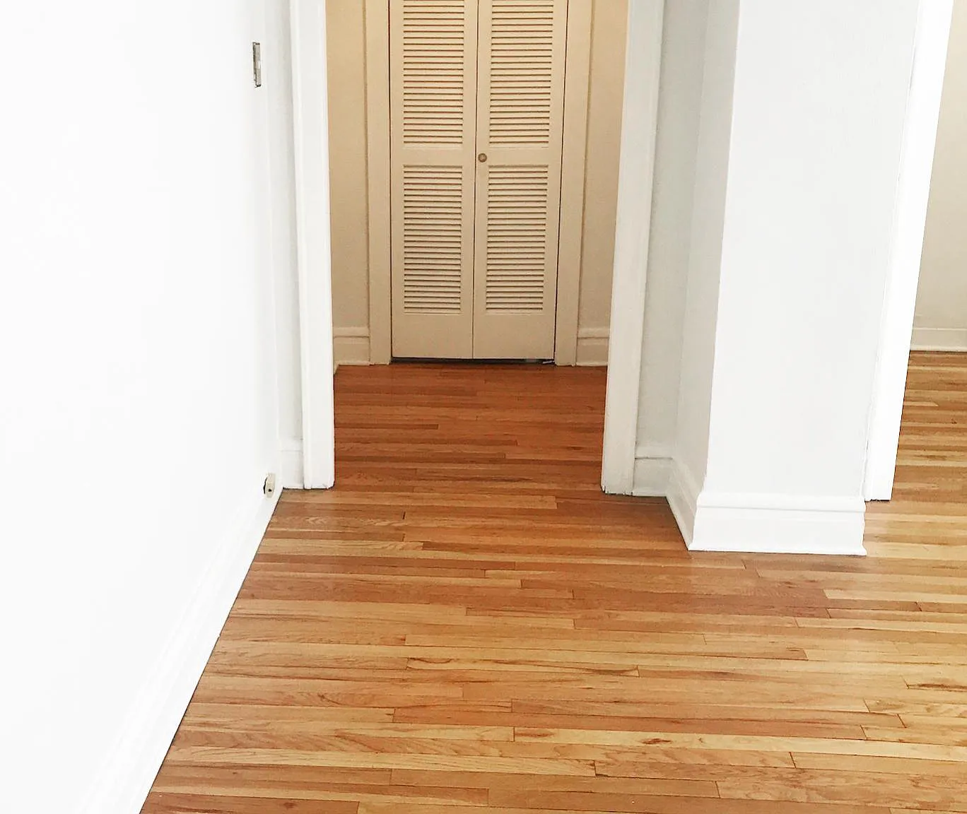 1 bed, 635 sqft, $1,800 — Photo 4