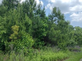 1378 Jeff Dr, Manning, SC 29102