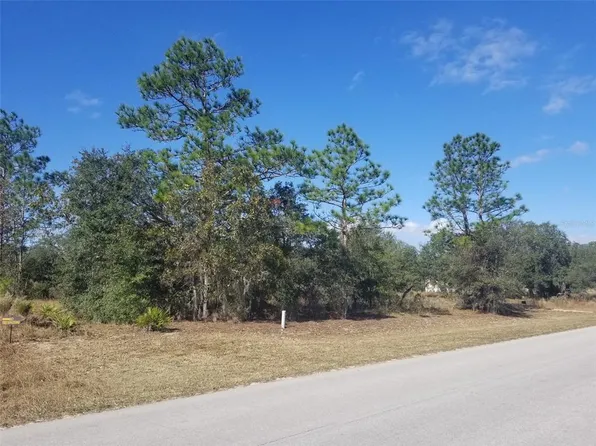 NE 105th Ave Lot 5, Archer, FL 32618