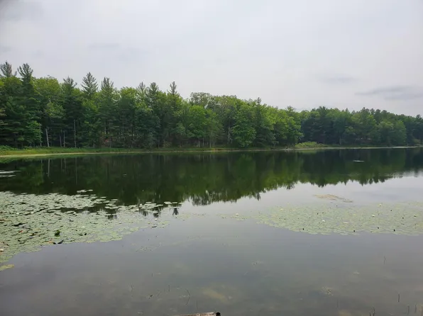 V/l Ridgeview Dr, Irons, MI 49644