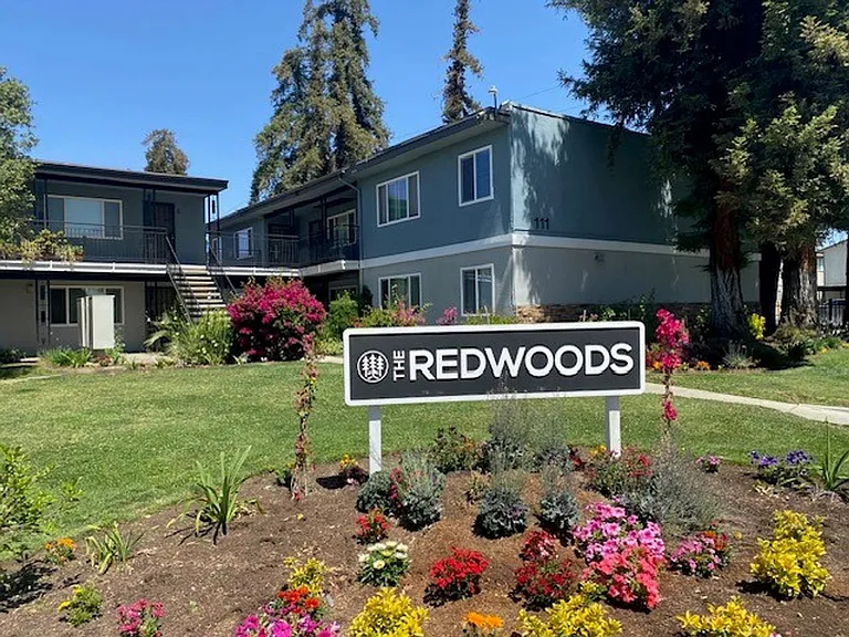 The Redwoods — Photo 8