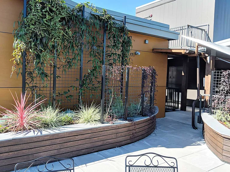 Lavender Apartments — Photo 8