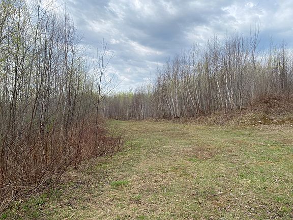 4th image of Near Wilson Lake Rd