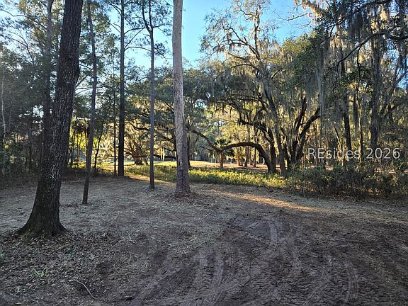 4th image of 275 Spring Island Dr
