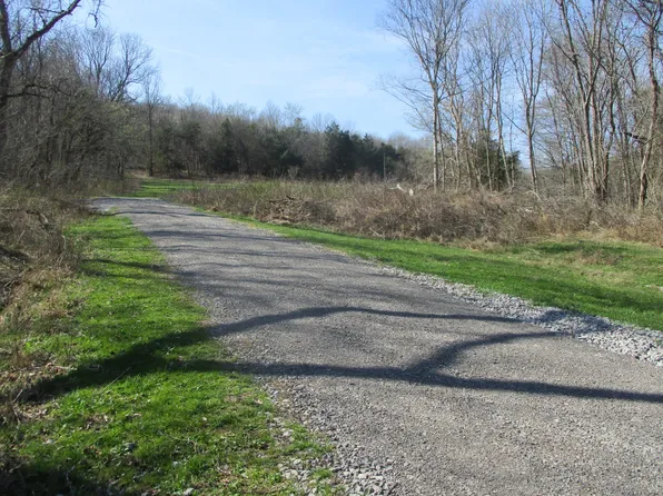0 Patton Hollow Rd, Watertown, TN 37184