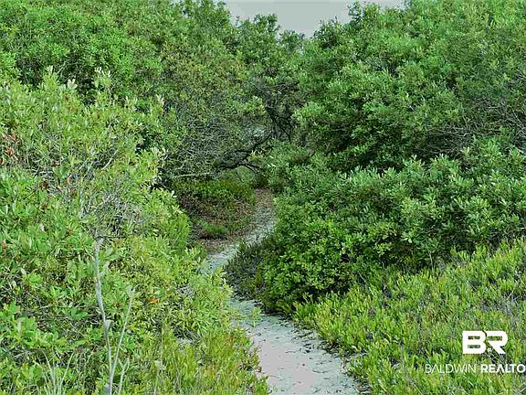 5th image of Palmetto Dr