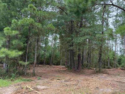 0 E Lake Rd, Quincy, FL, 32351