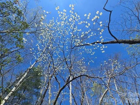 284 Oriole Dr, Lake Lure, NC 28746