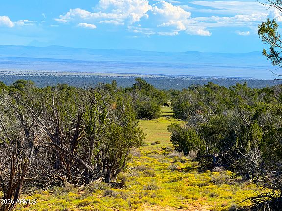 5th image of TBD Co Rd N7480 40 Acres -- #-
