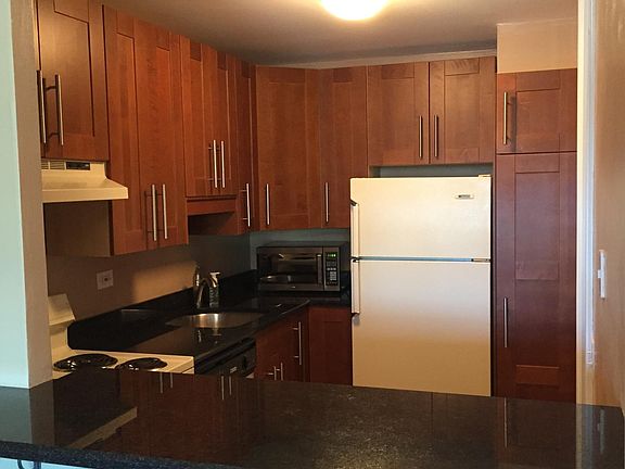 4th image of 1560 N Sandburg Ter APT 307