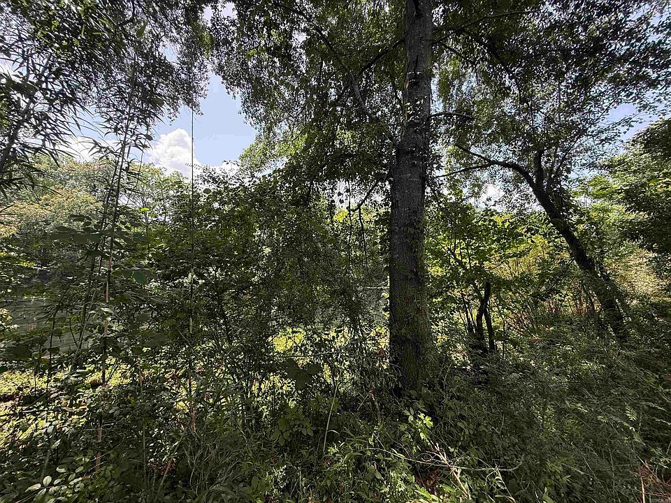 1st image of 62 River Dr